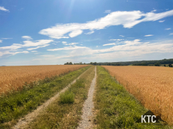 2025-07-05 Heuchelbergtrail - IMG_9148